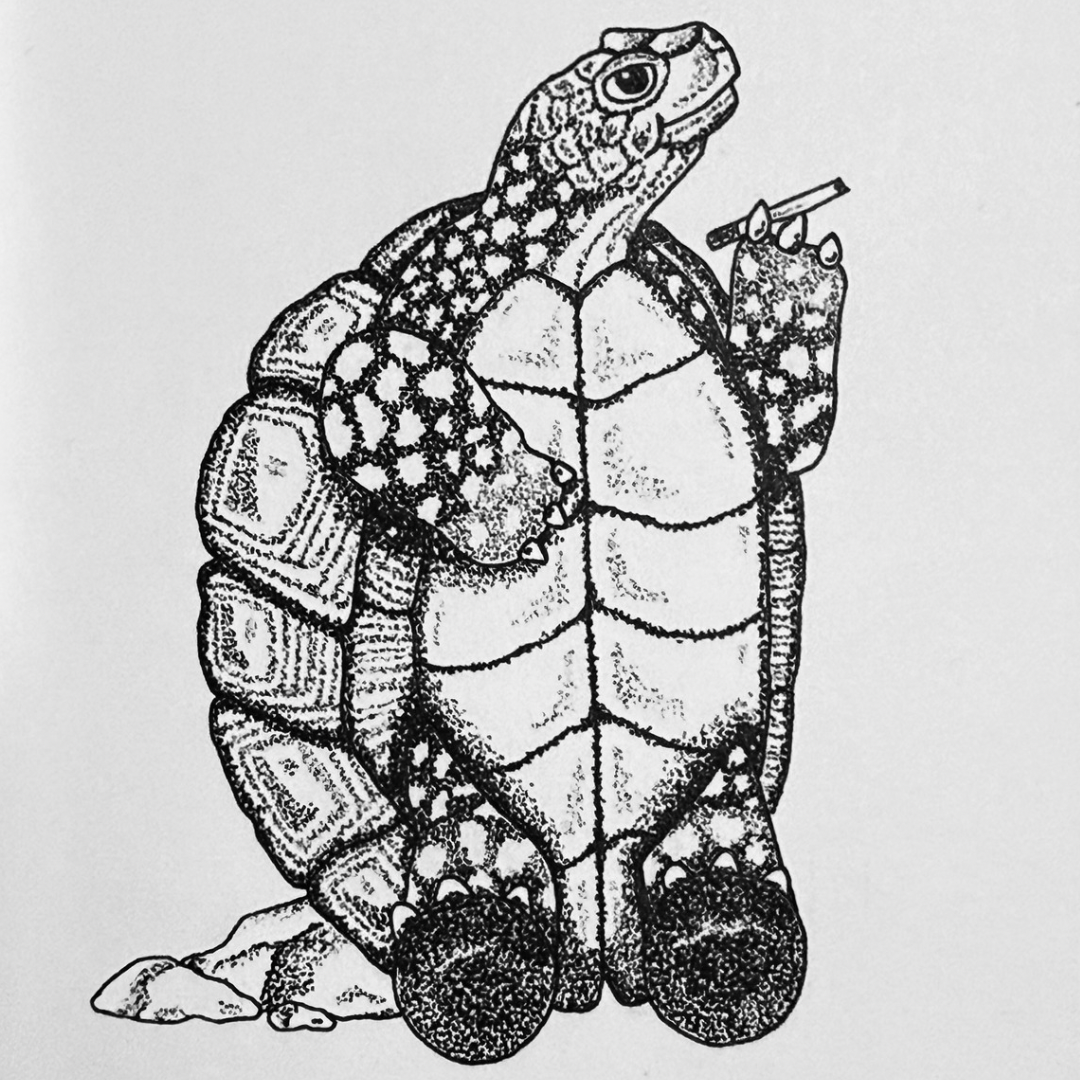 Tortoise And The Hare