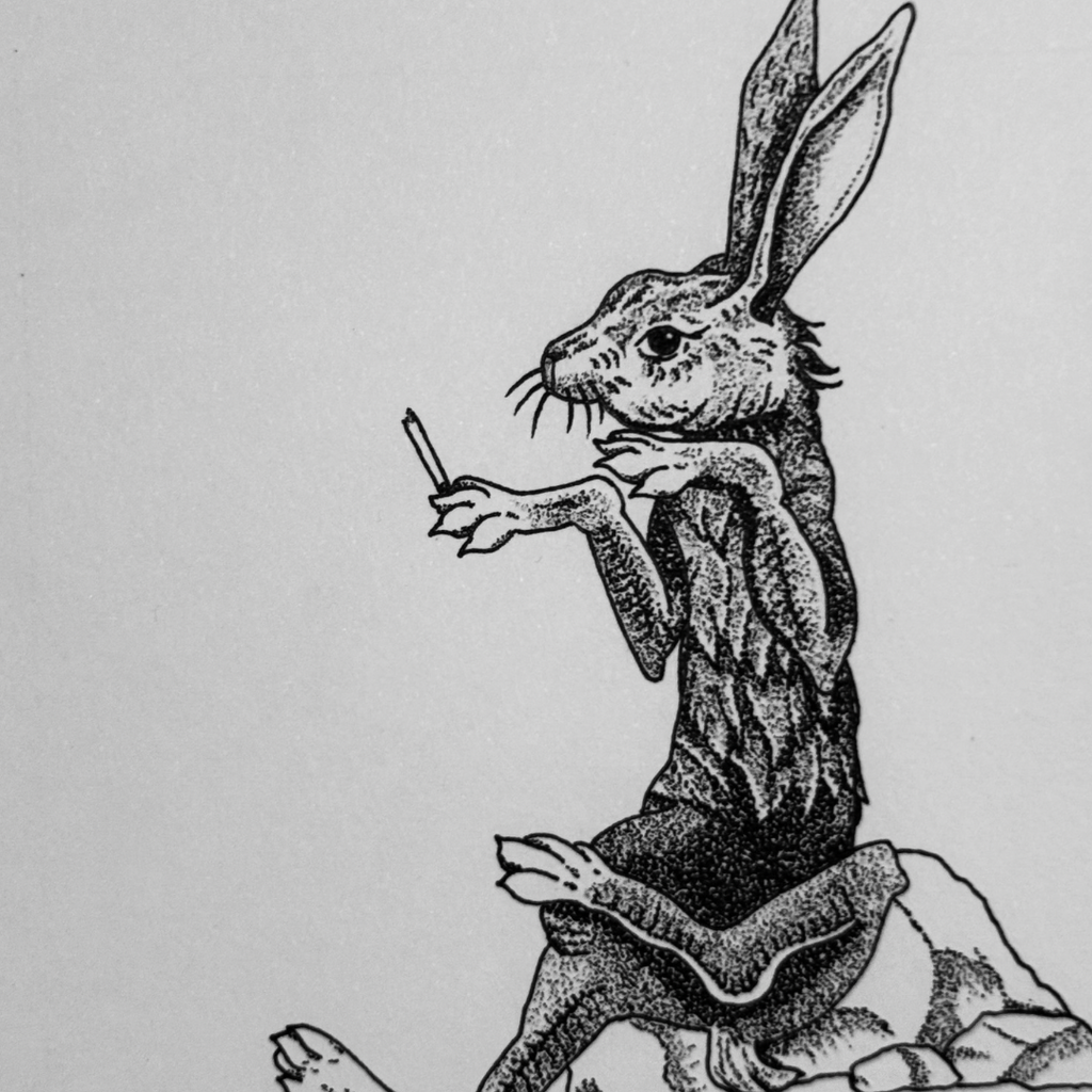 Tortoise And The Hare