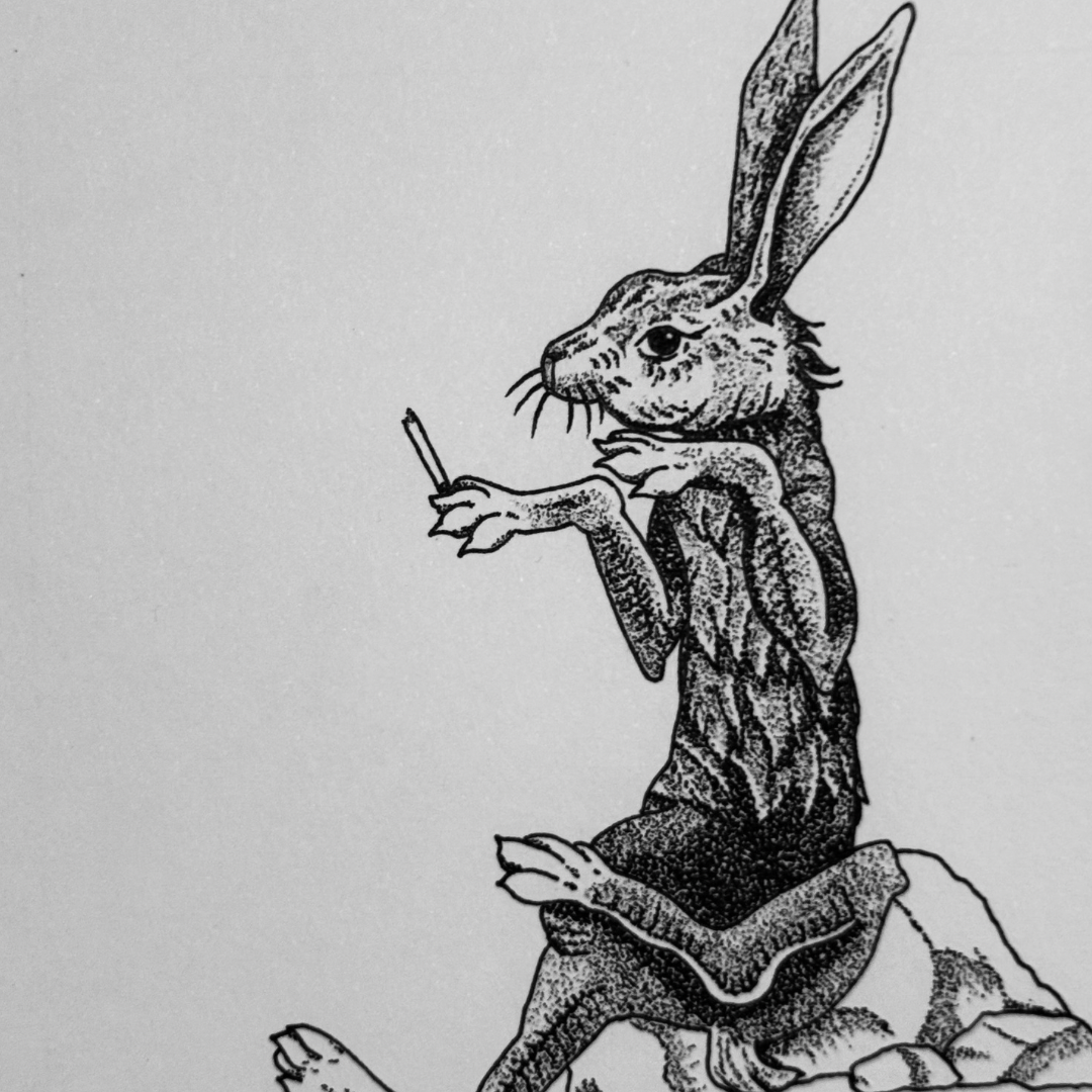 Tortoise And The Hare