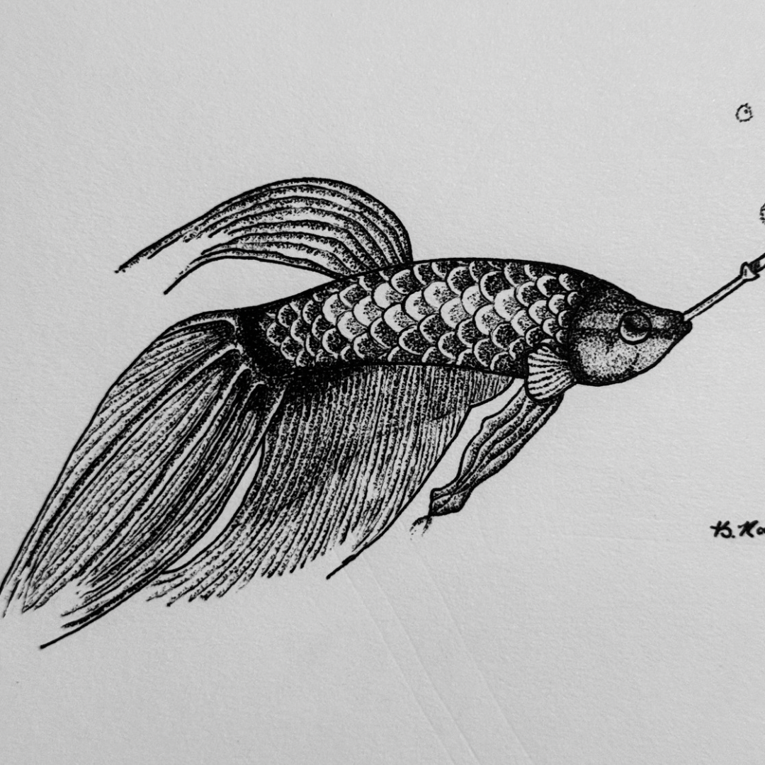 Smoking Fish
